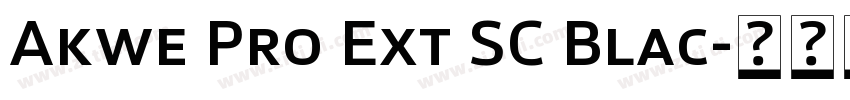 Akwe Pro Ext SC Blac字体转换